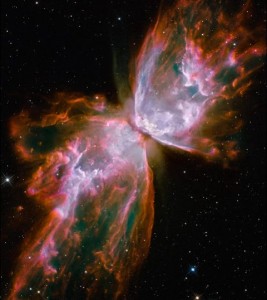 hubblefly